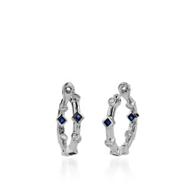 Load image into Gallery viewer, Paloma Precious Hoop Earrings