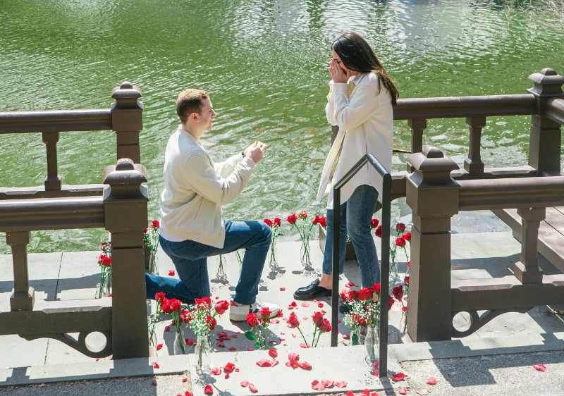 lakeside proposal